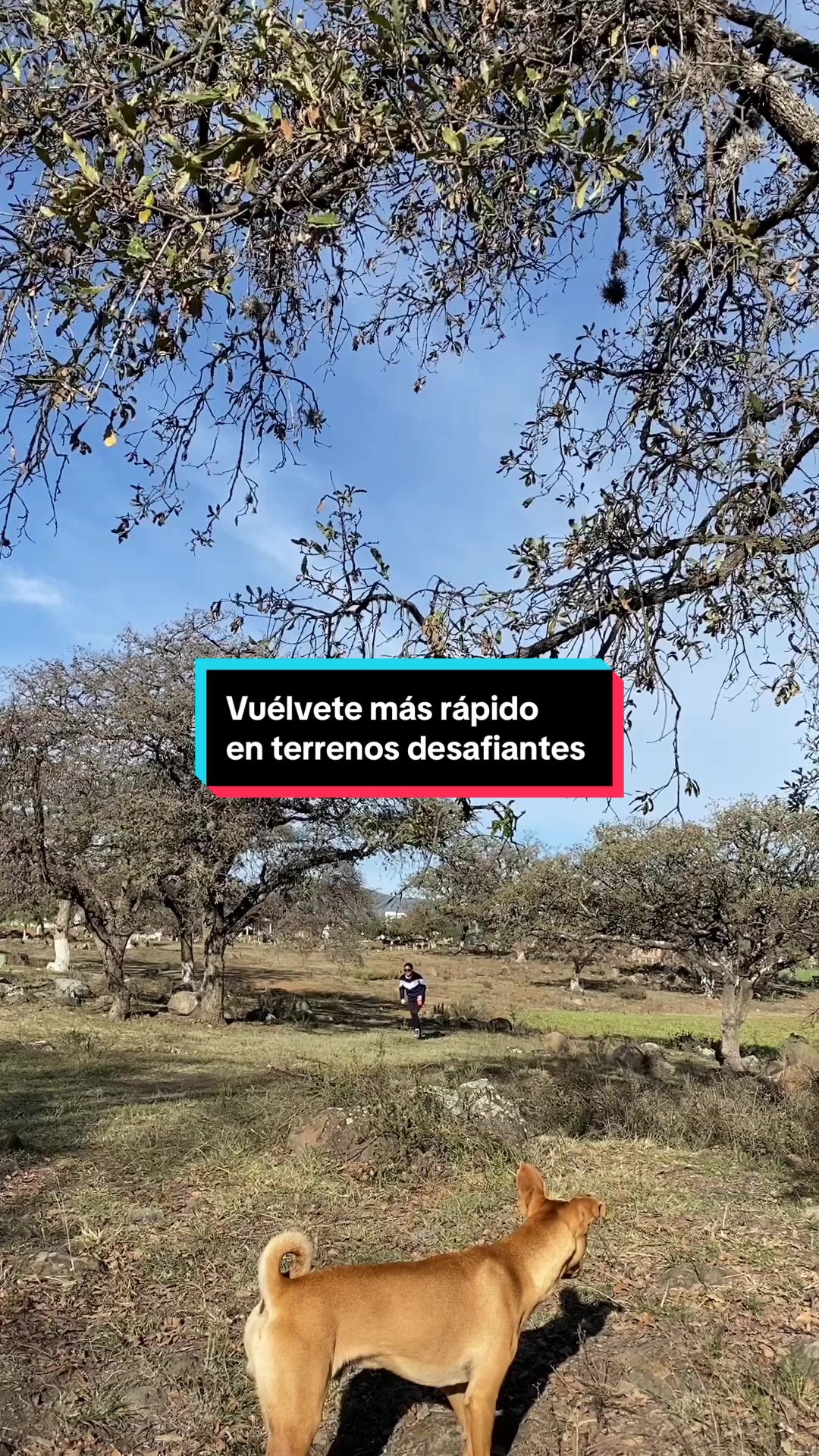 @Rompe el Muro