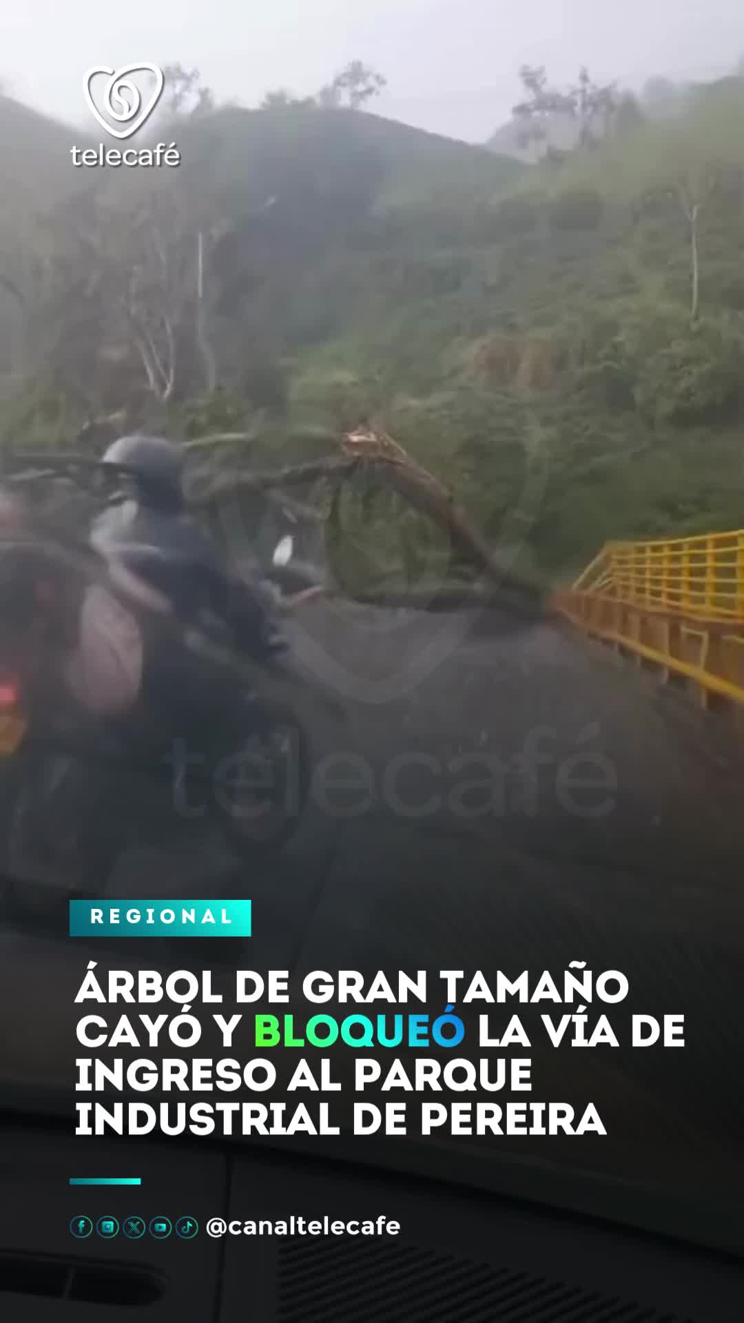 @Canal Telecafé