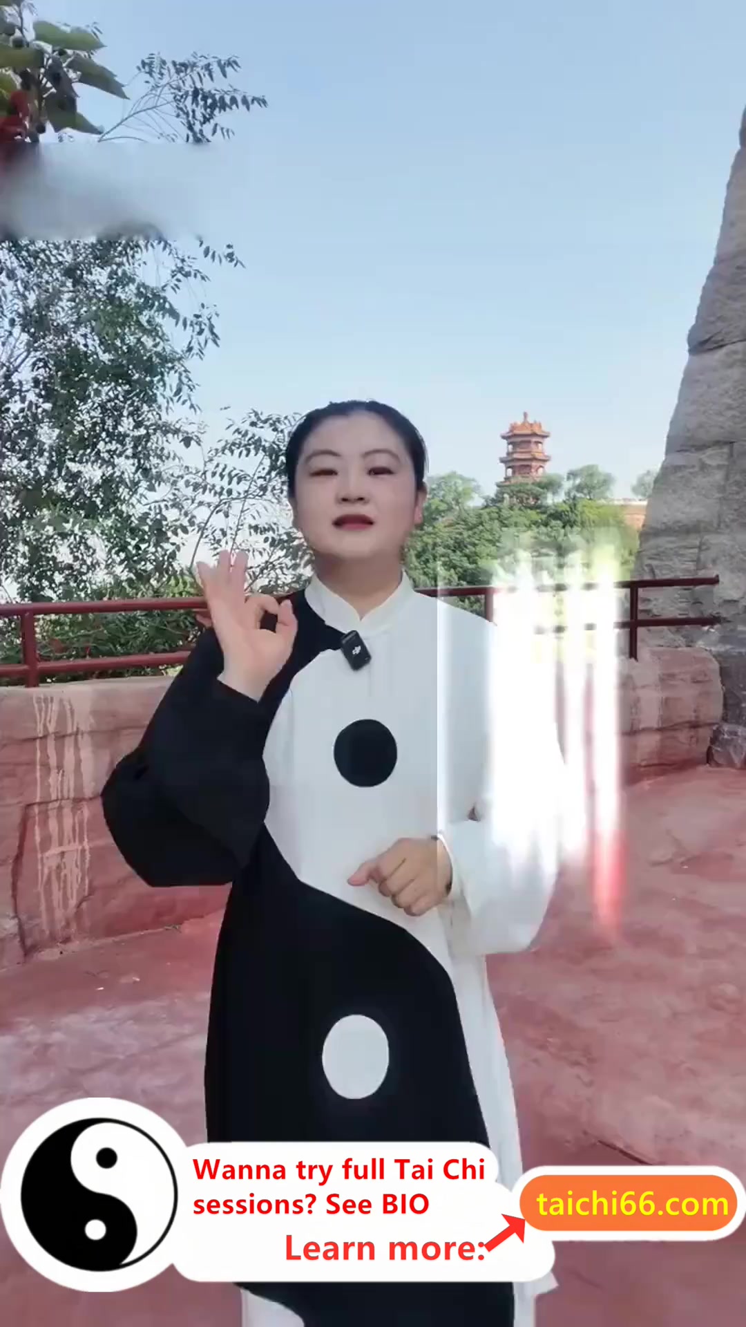 @HuaKai Taichi