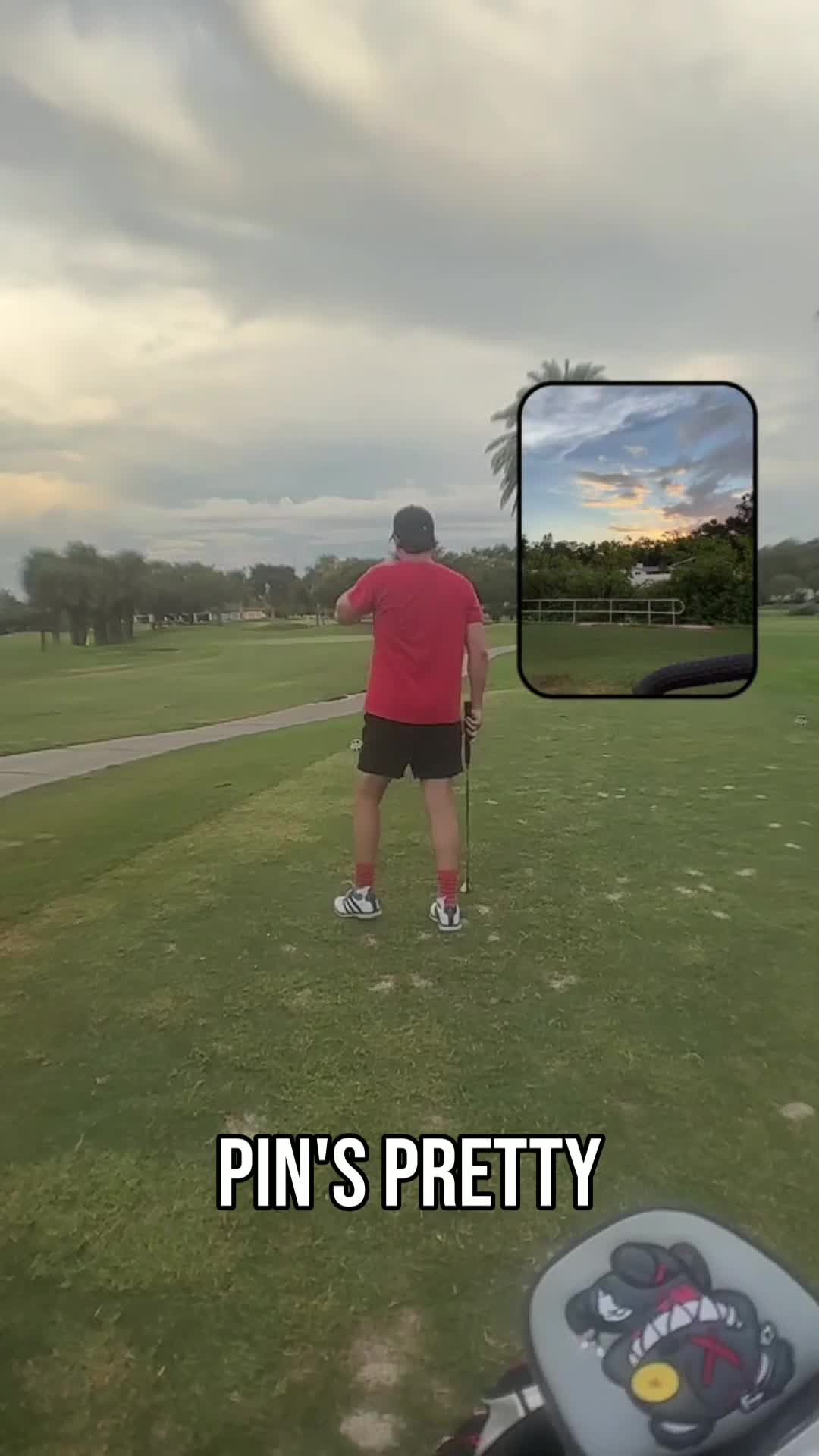 @Next Swing Golf