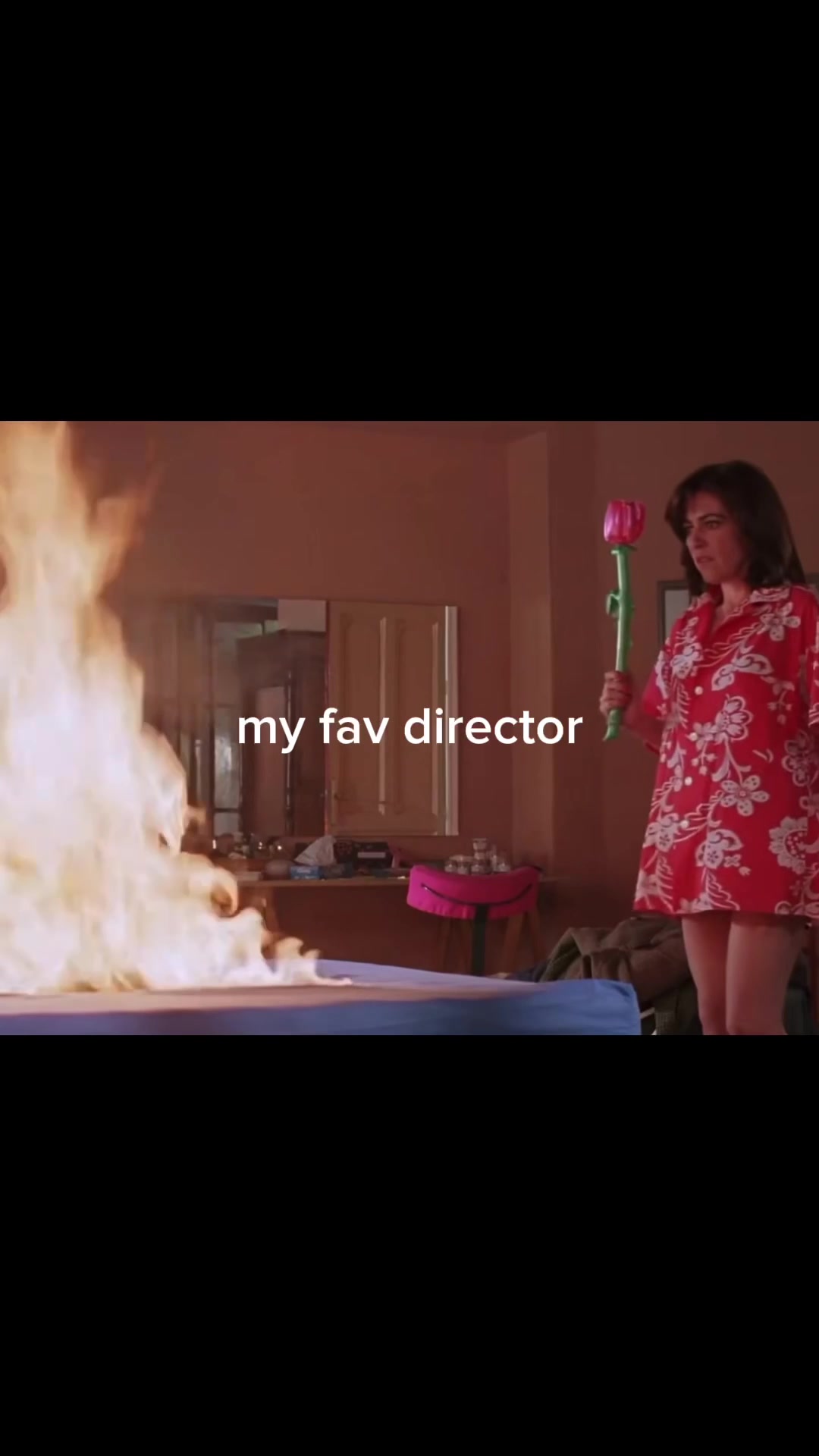 @full time cinephile
