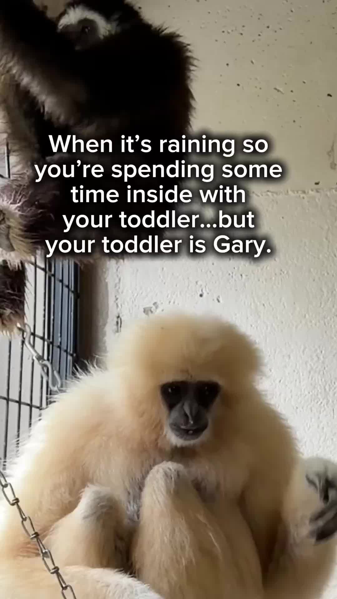 @TanganyikaWildlifePark
