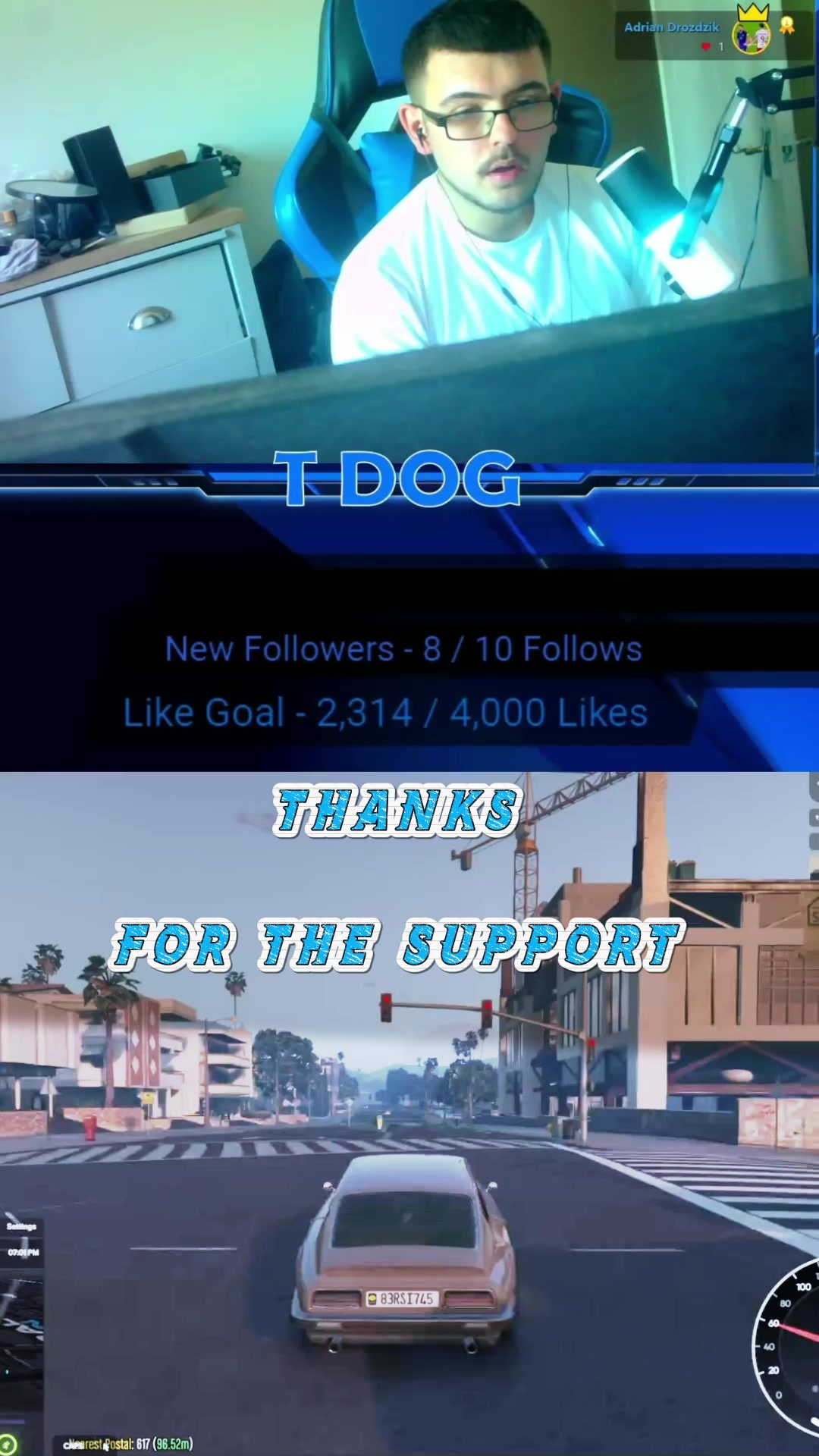 @T dog