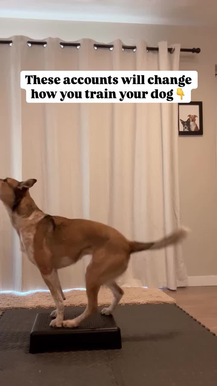 @Marissa | Kota & Aspen