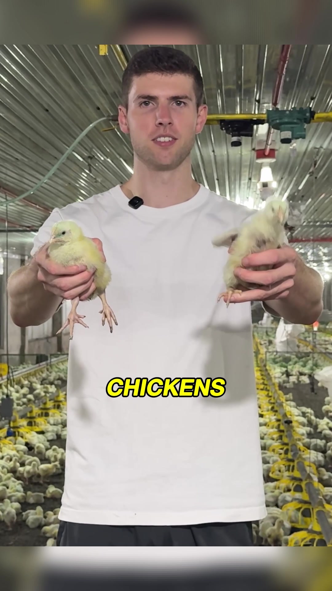 @Andrew