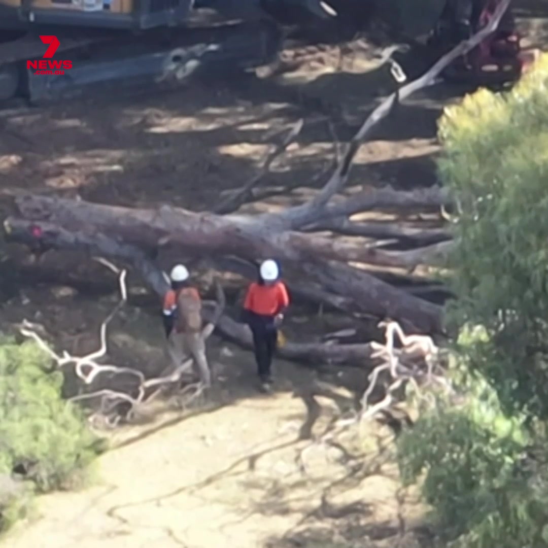 @7NEWSAdelaide