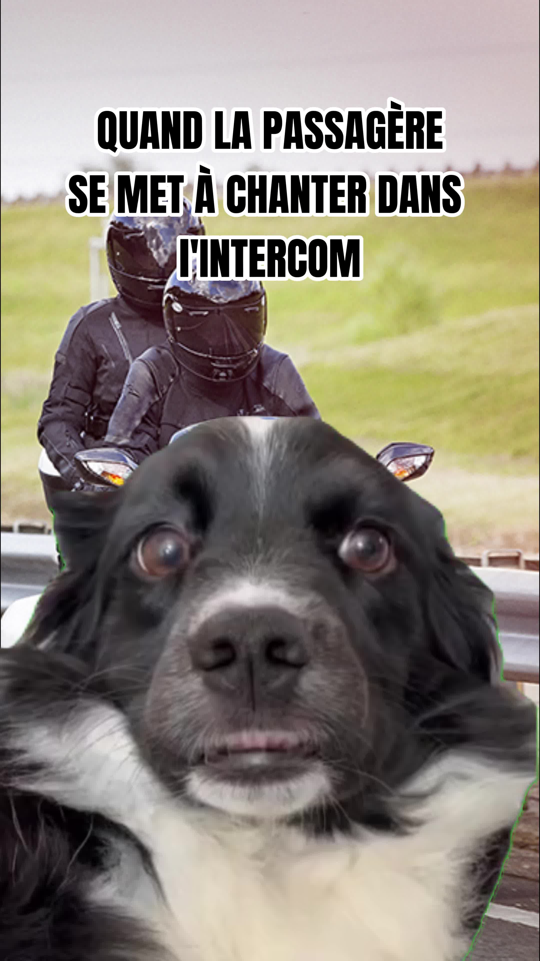@Groupe Dafy Moto