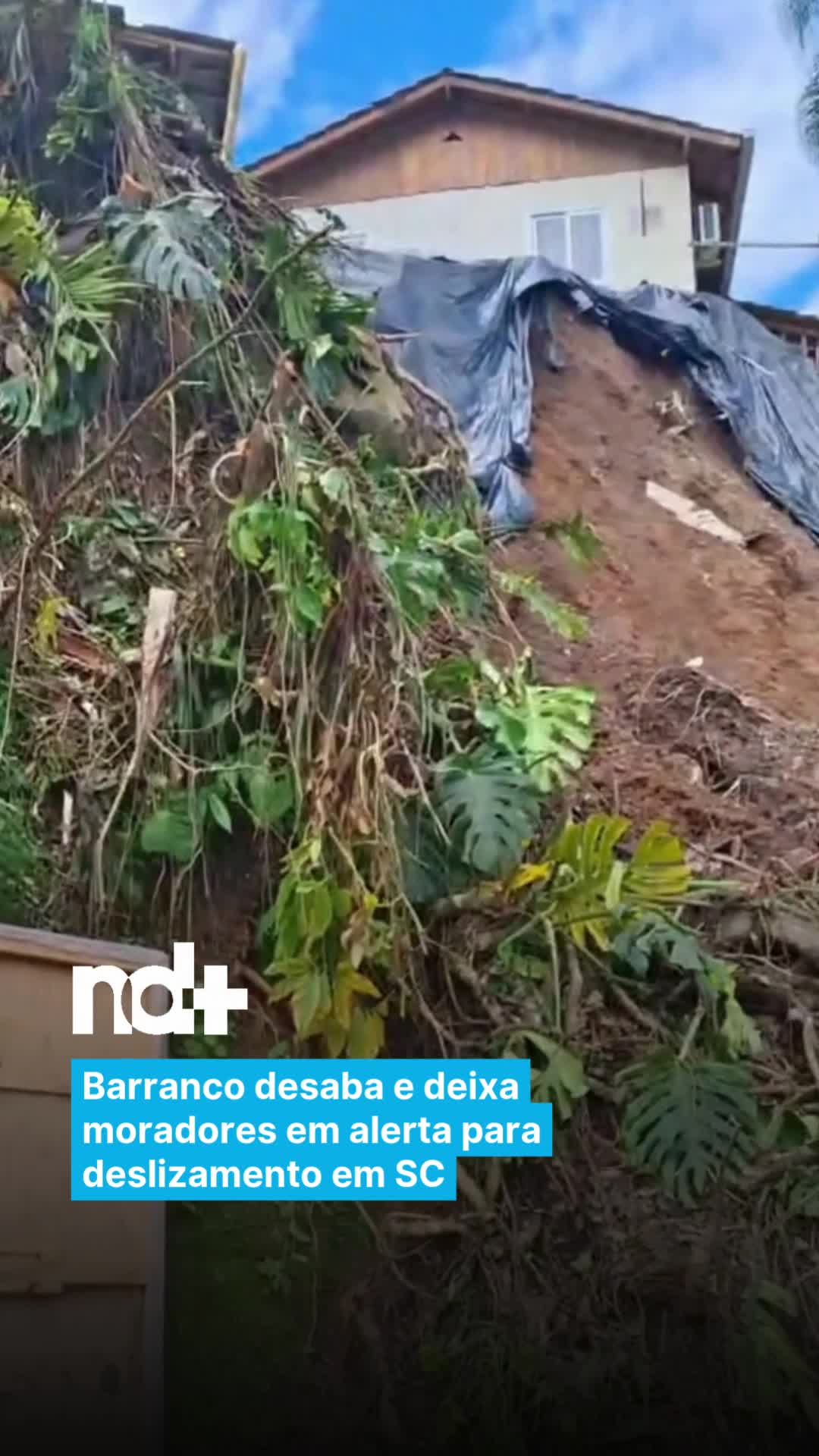 @portalndmais