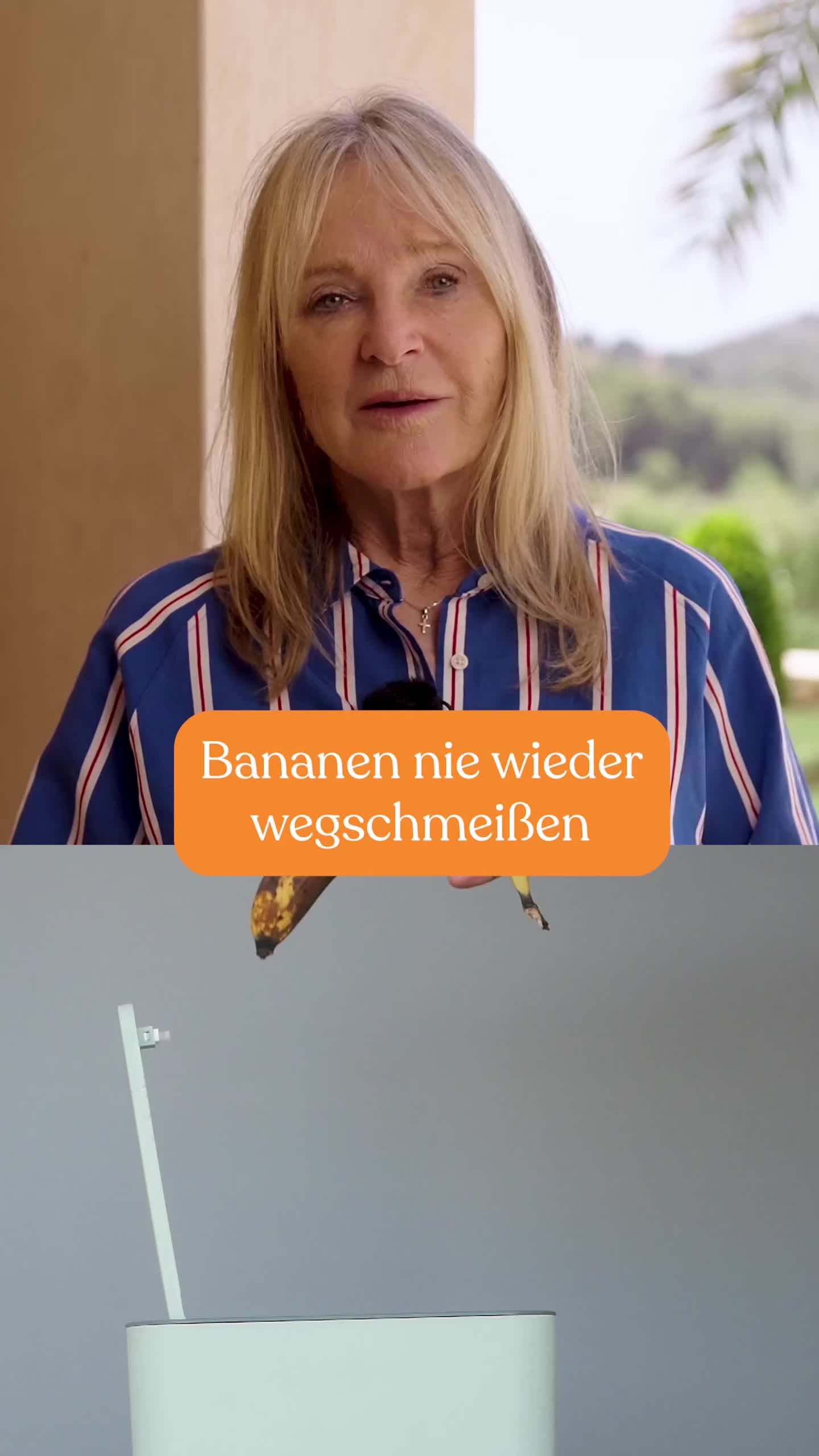@Liebscher & Bracht