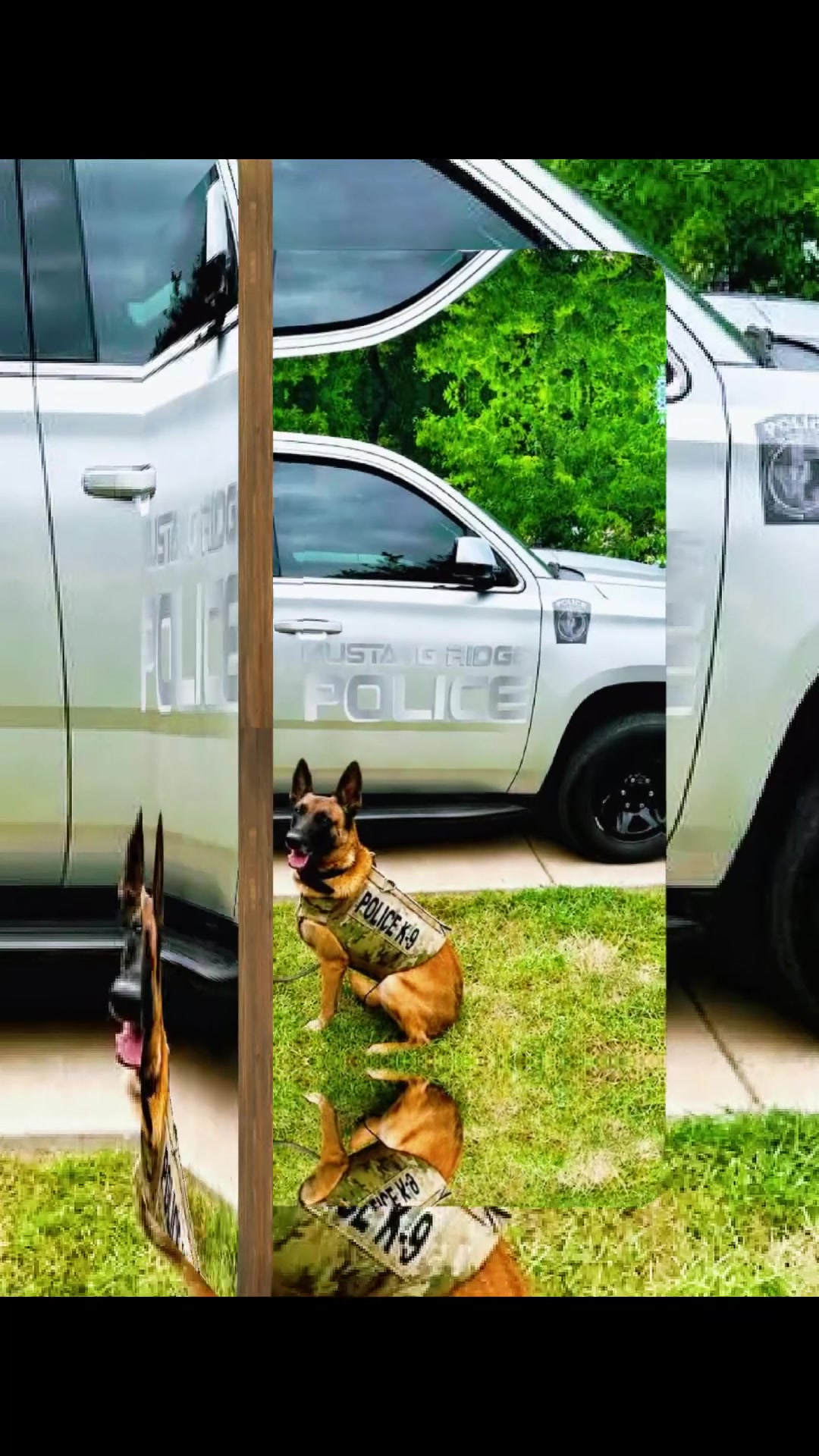 @Vested Interest in K9s, Inc.