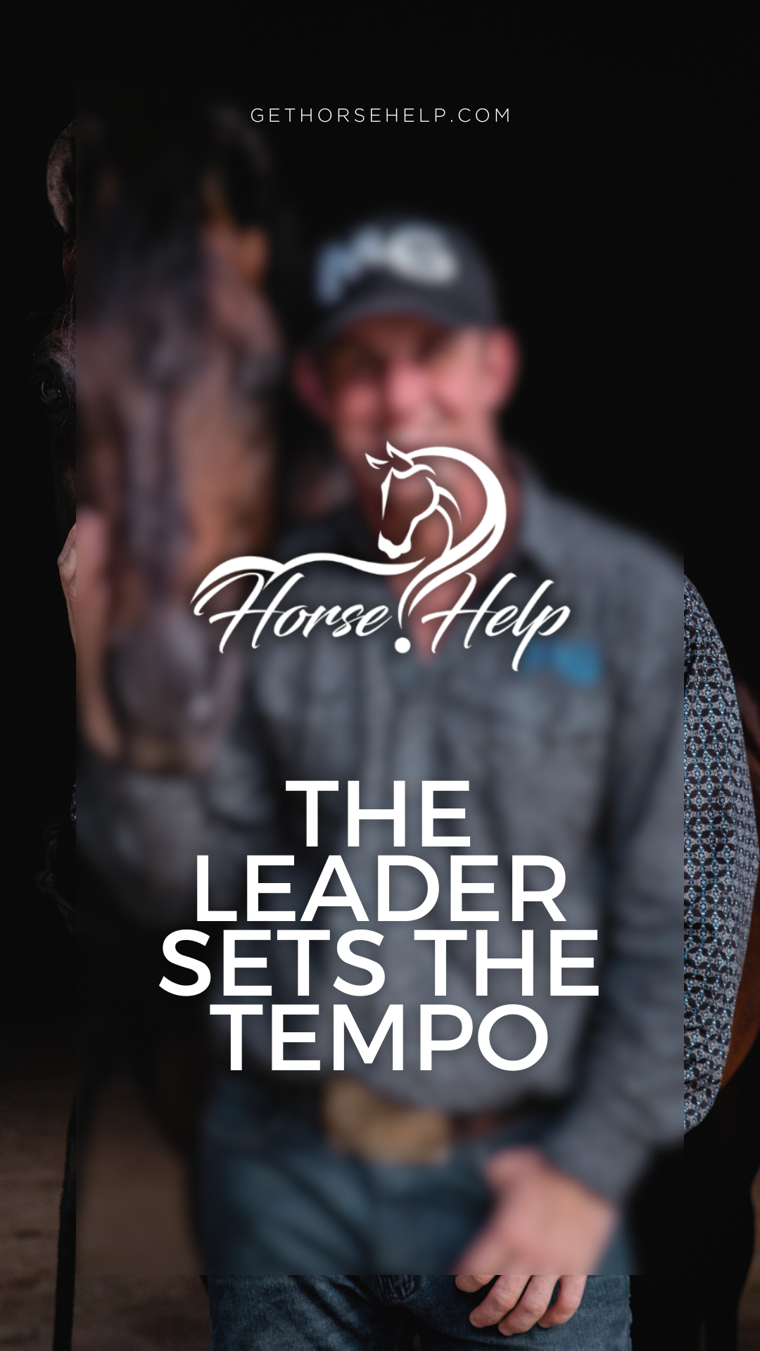 @Horse Help