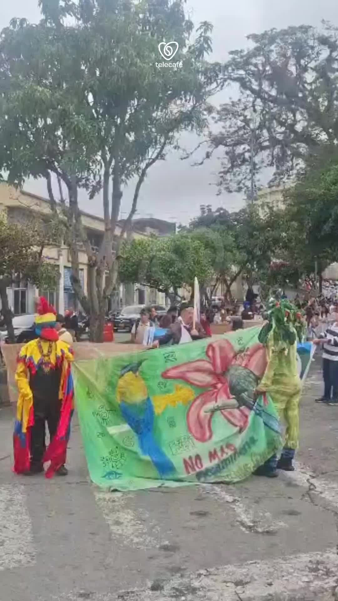 @Canal Telecaf&eacute;