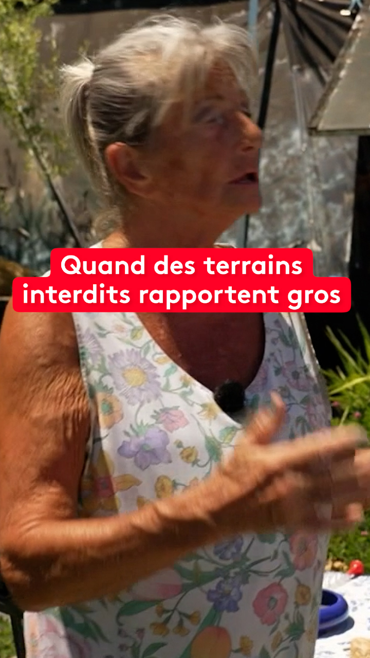 @le20hfrancetelevisions