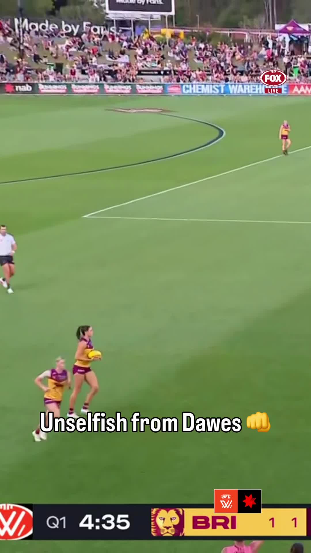 @Brisbane Lions 🦁