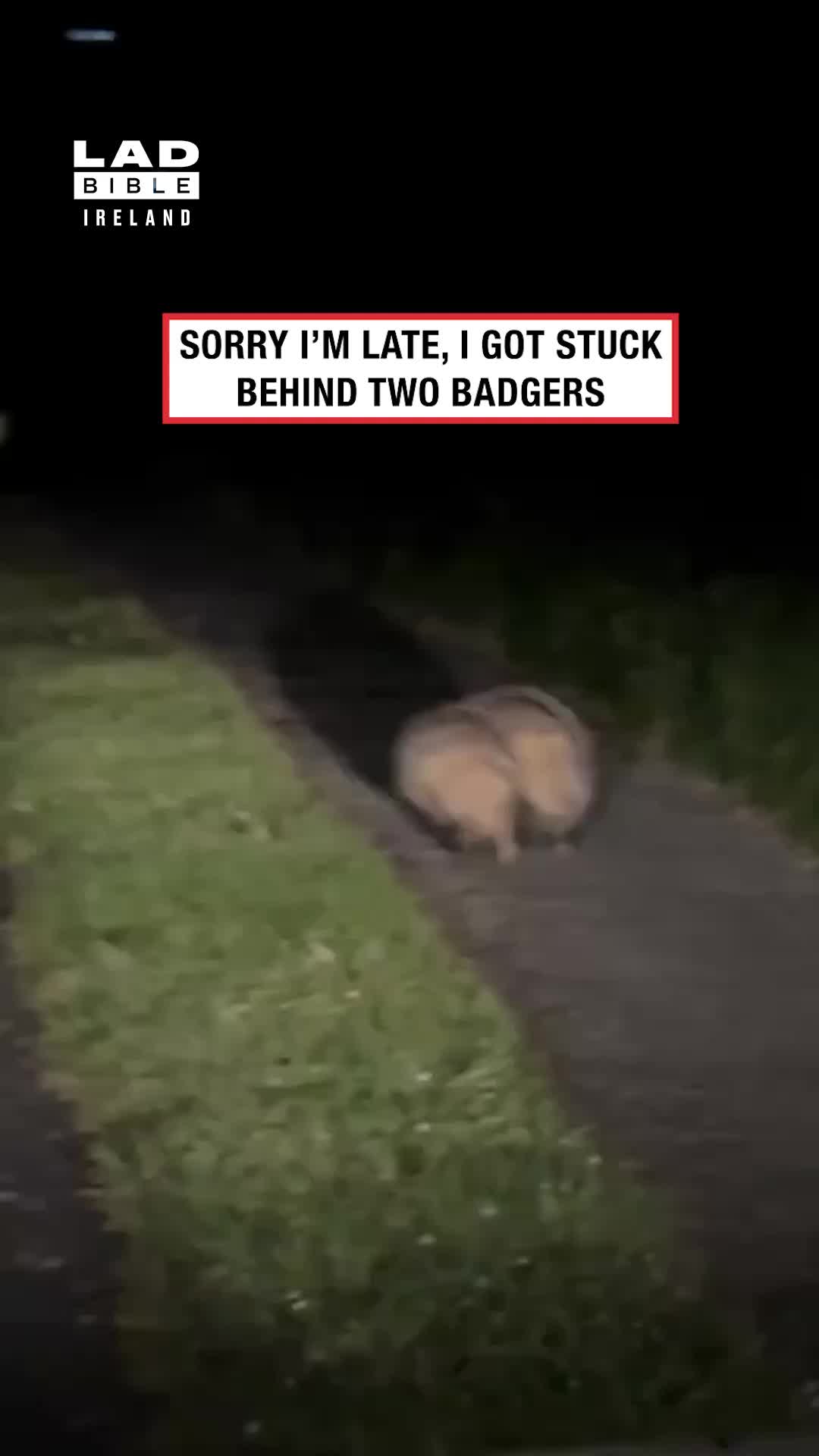 @LADbible Ireland