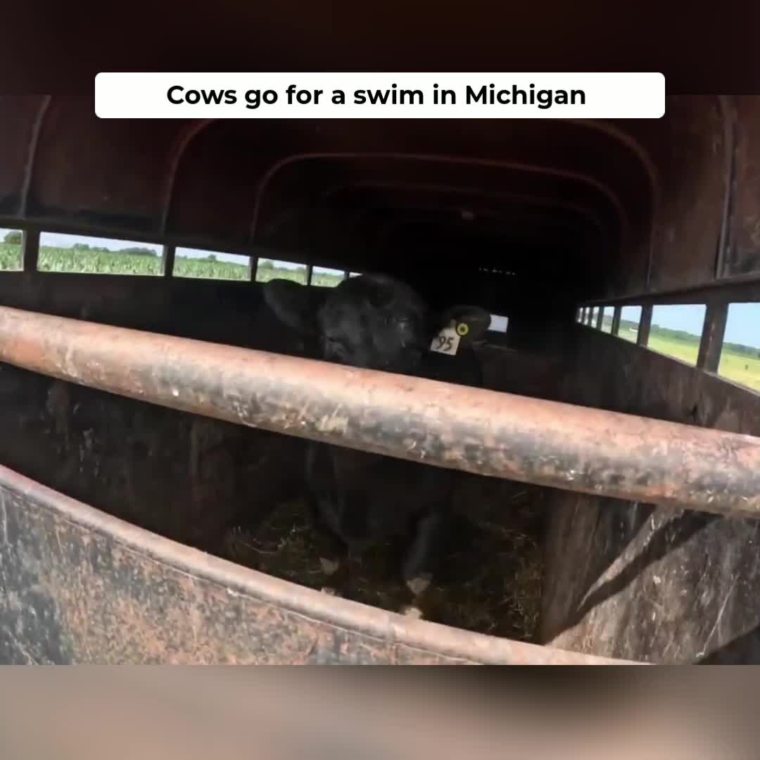 @Kip Siegler Farming