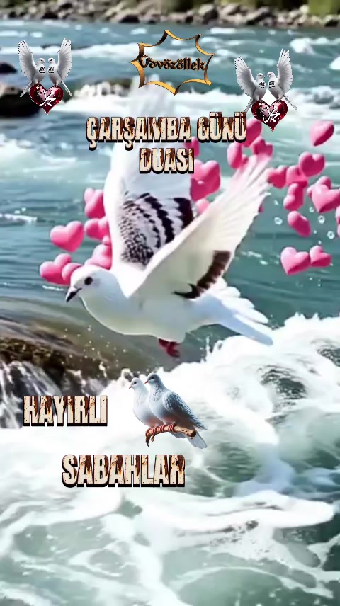 @NAKŞİ💚AYLESİ💜AHSEN🌹GÜL