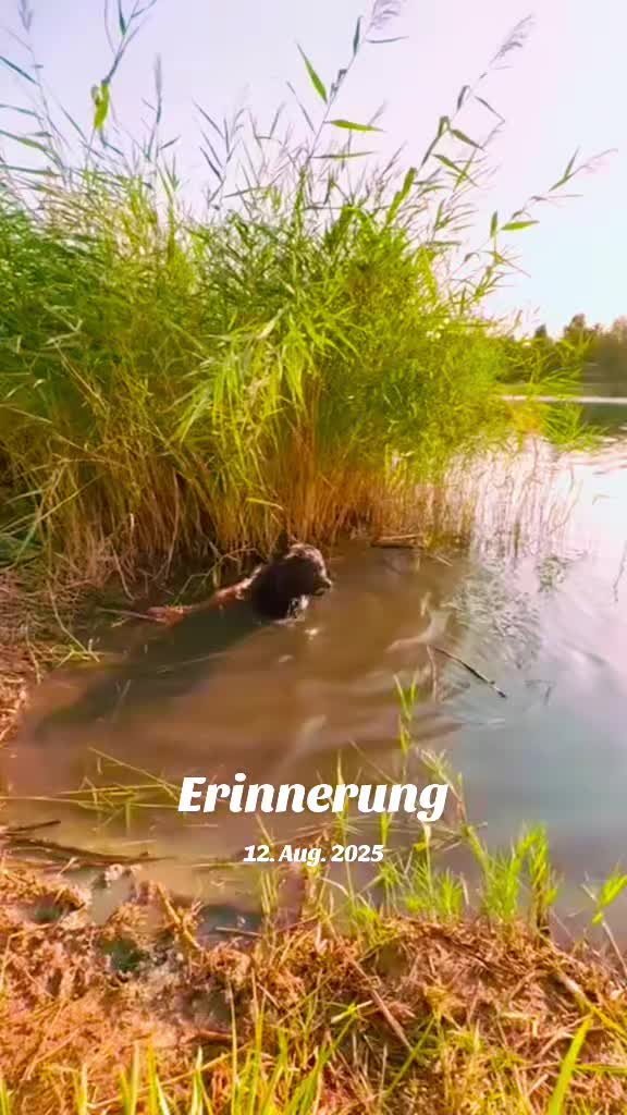@SandiK78