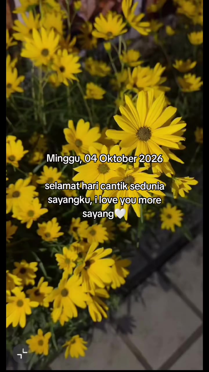 @phiosad