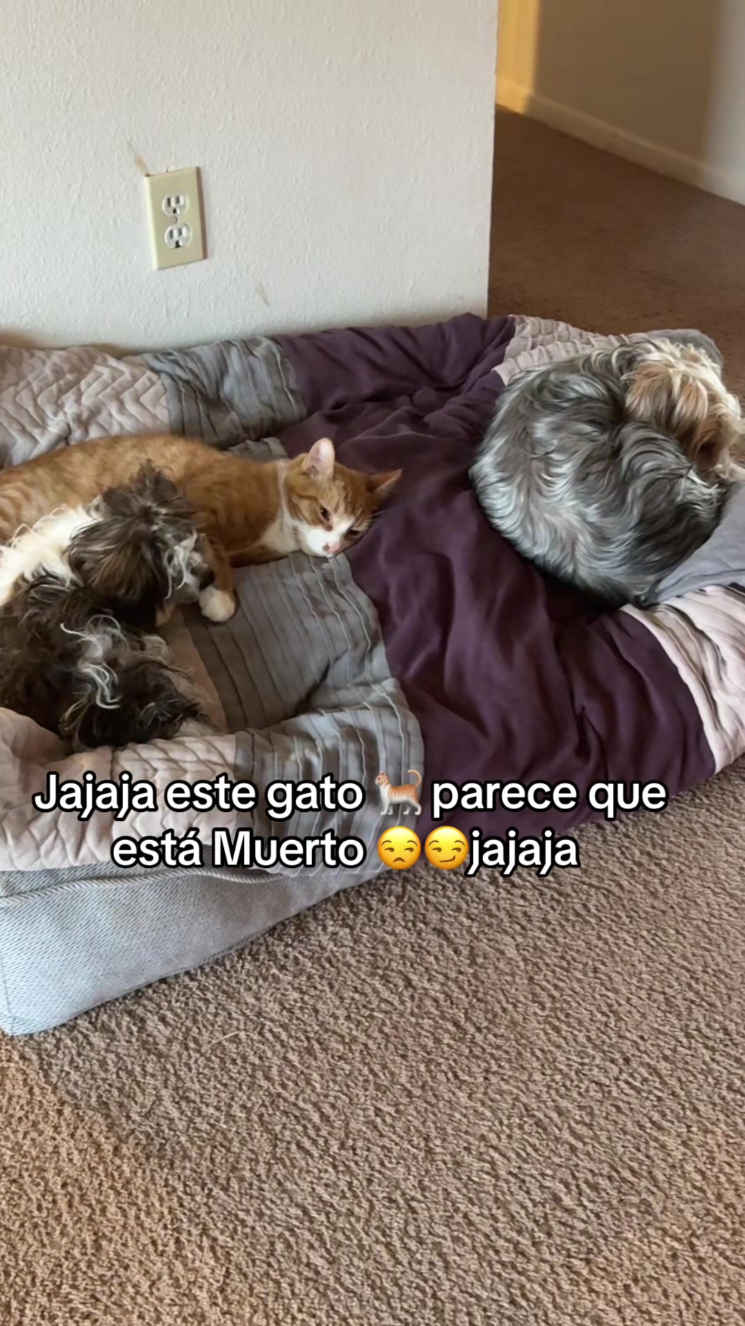 @Isa y Cris