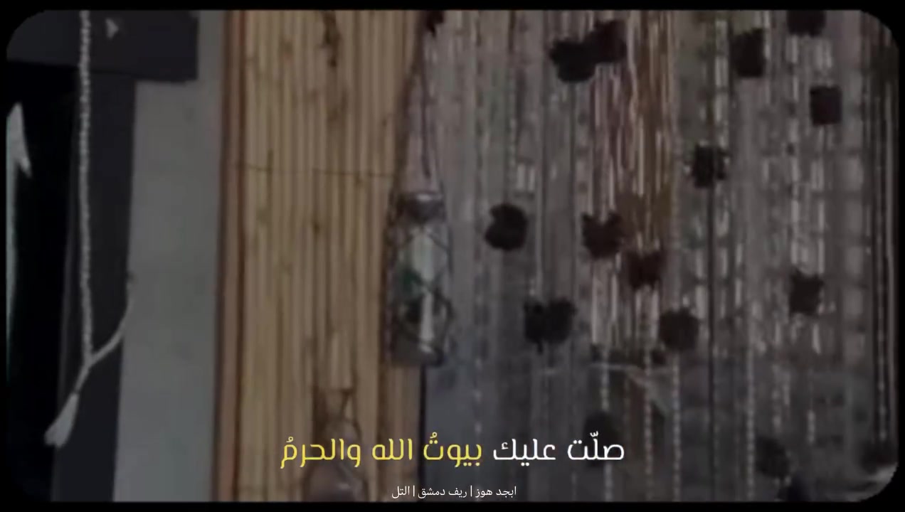 @﮼محمد 🥷 •