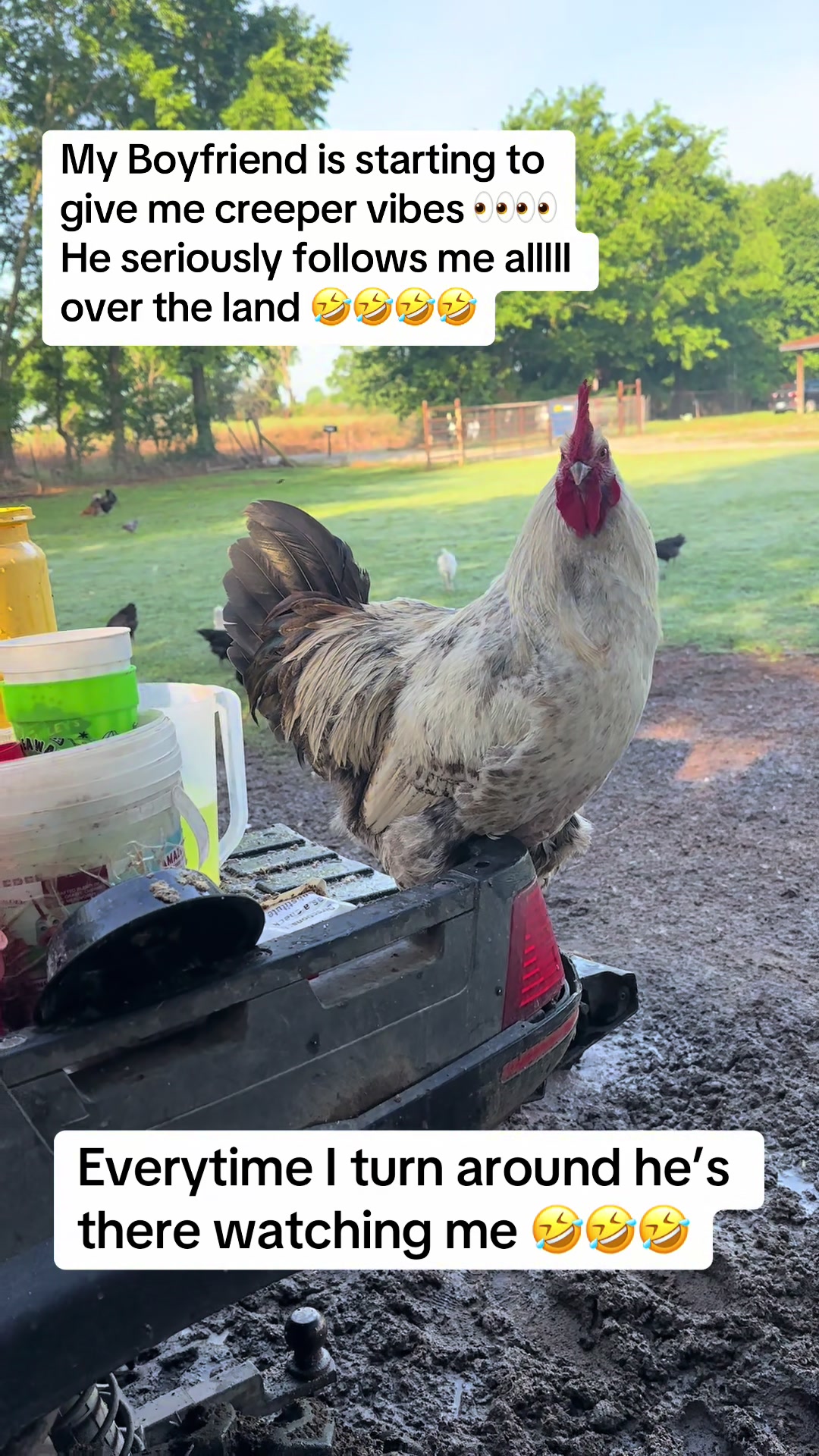 @NonniesFunnyFarm