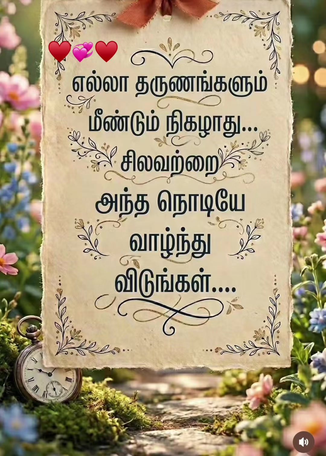 @Teddy ♥️