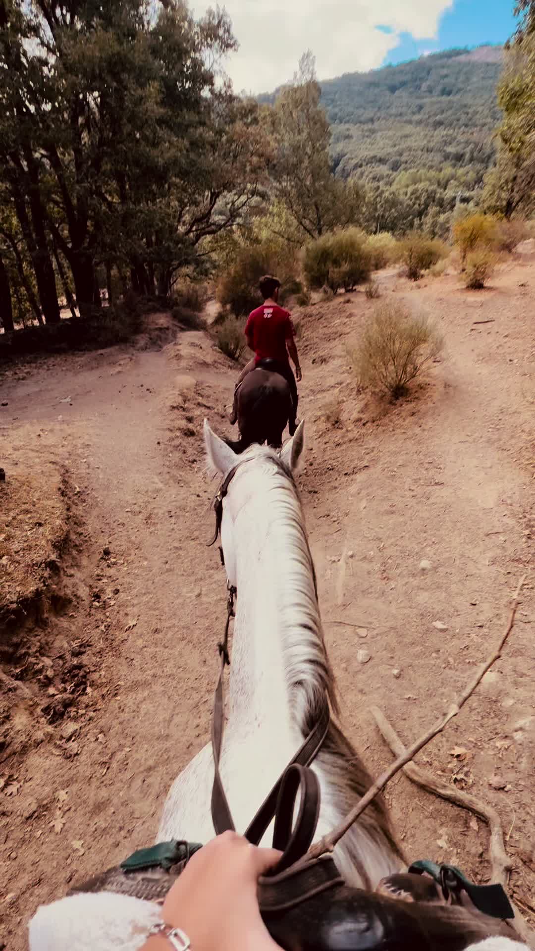 @๐๐๐๐๐๐๐๐