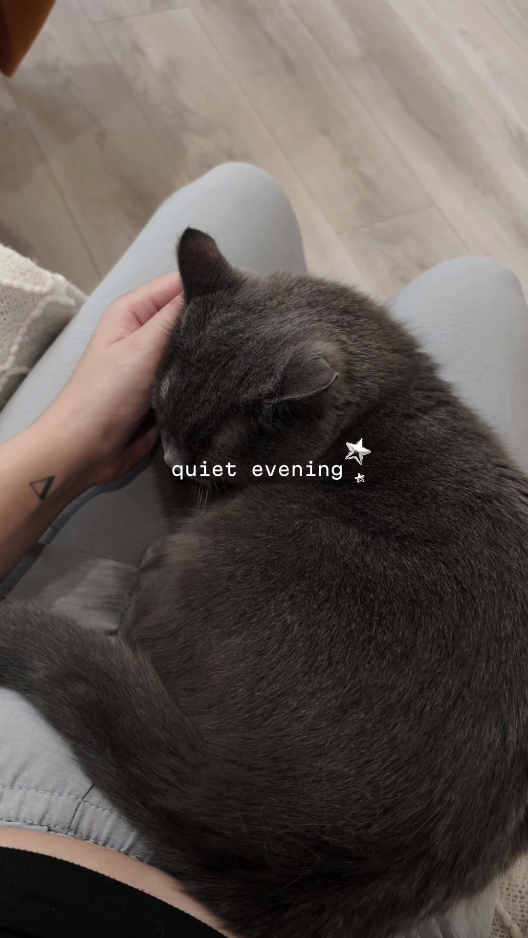 @lelu⋆˙⟡