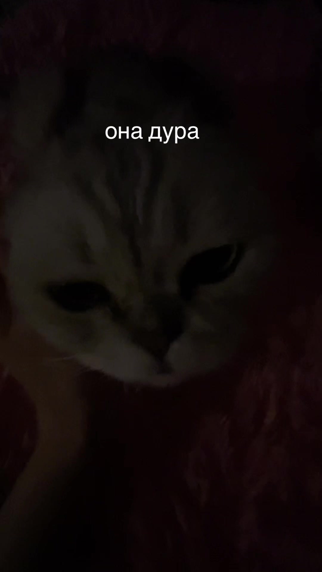 @соци