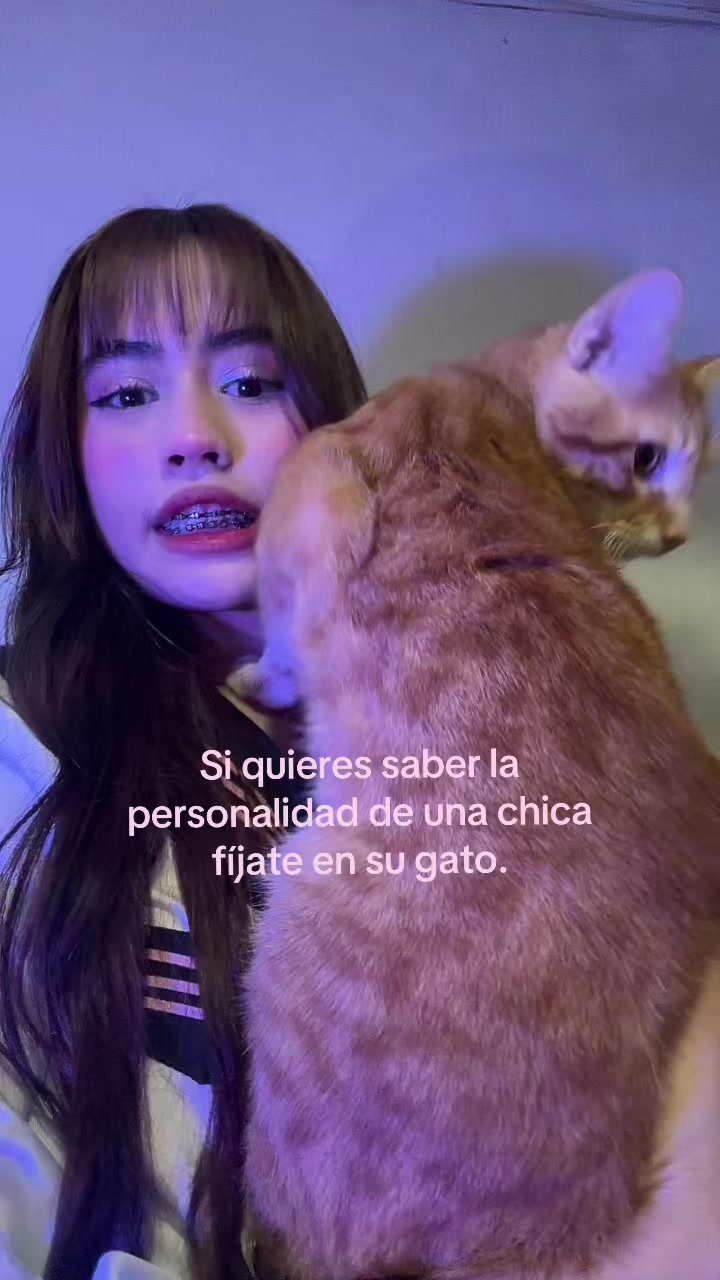@🌟