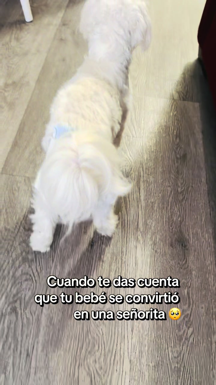 @Lizz and Luna🐶