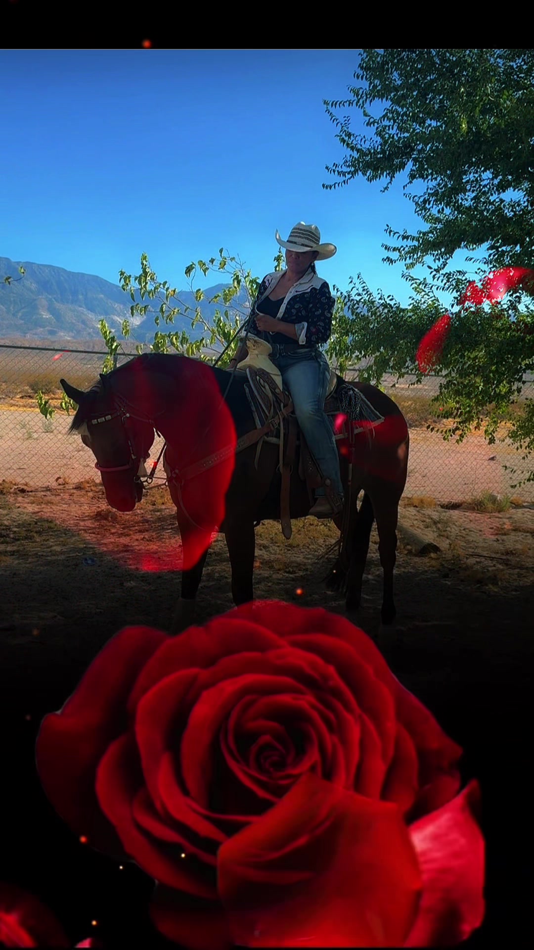 @Chaparrita ♥️🐴