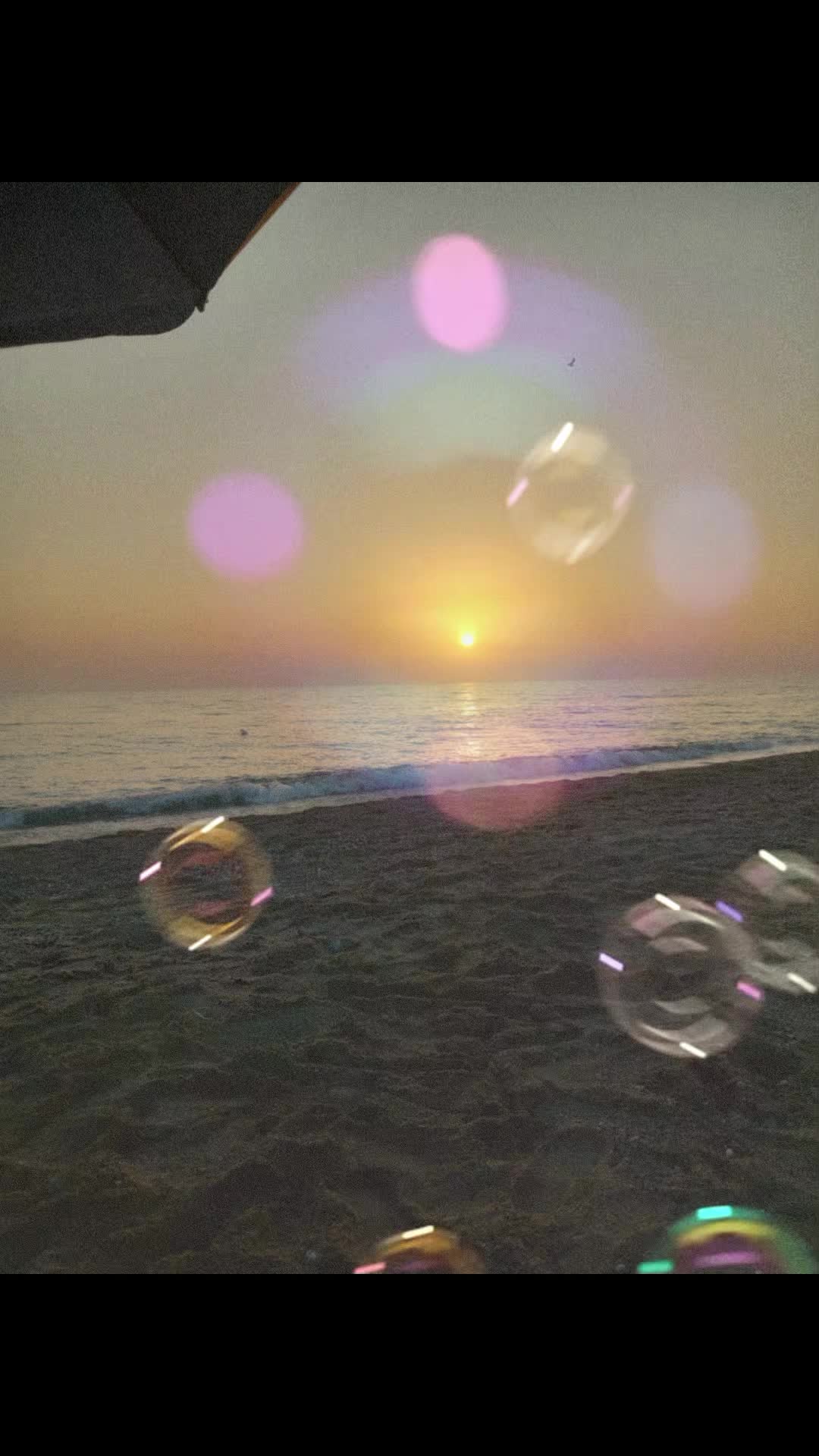 @liviaruff797