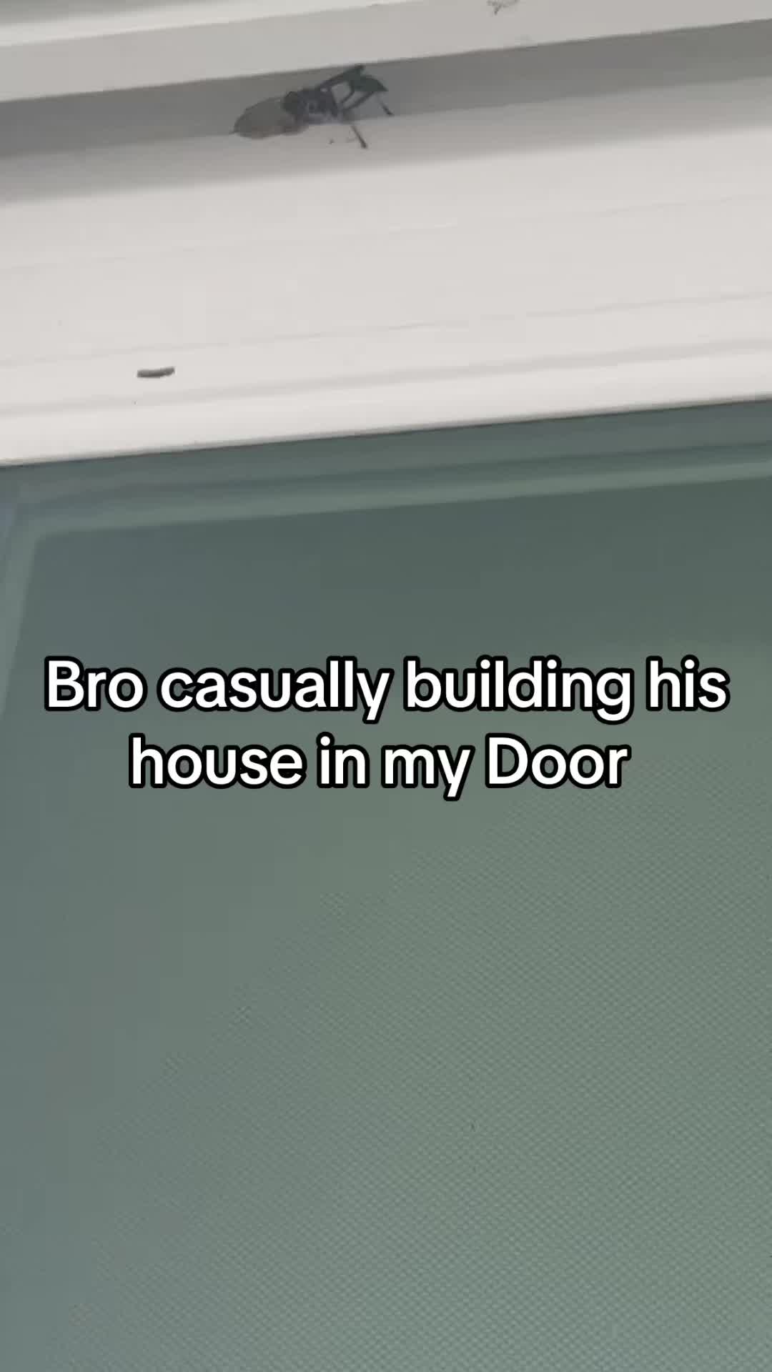 @YTBillion