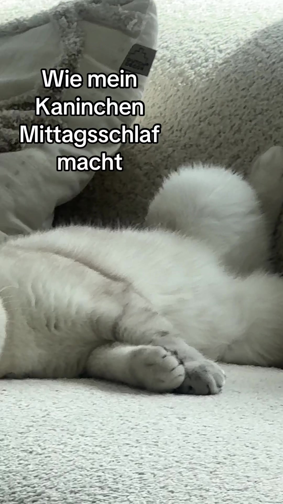 @Mirisbestlife
