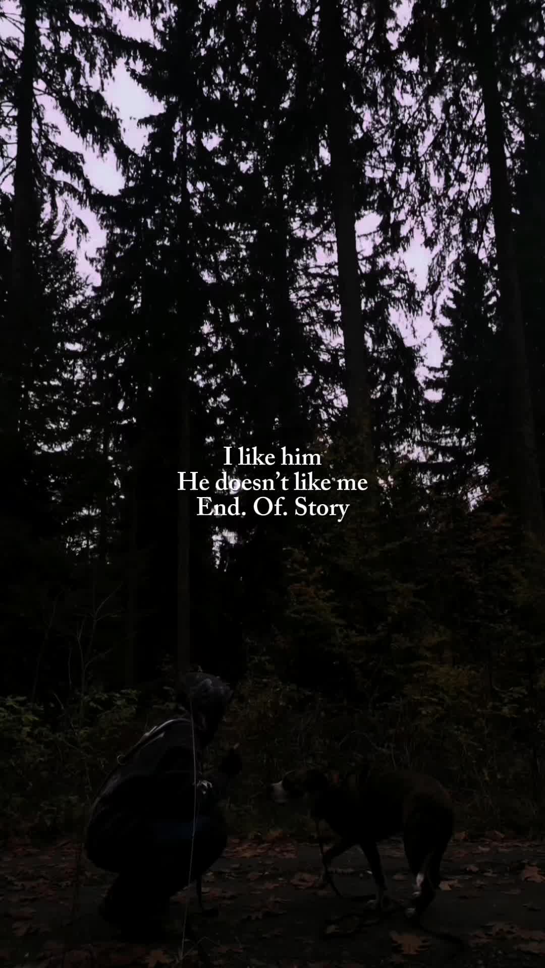 @🦇🦇