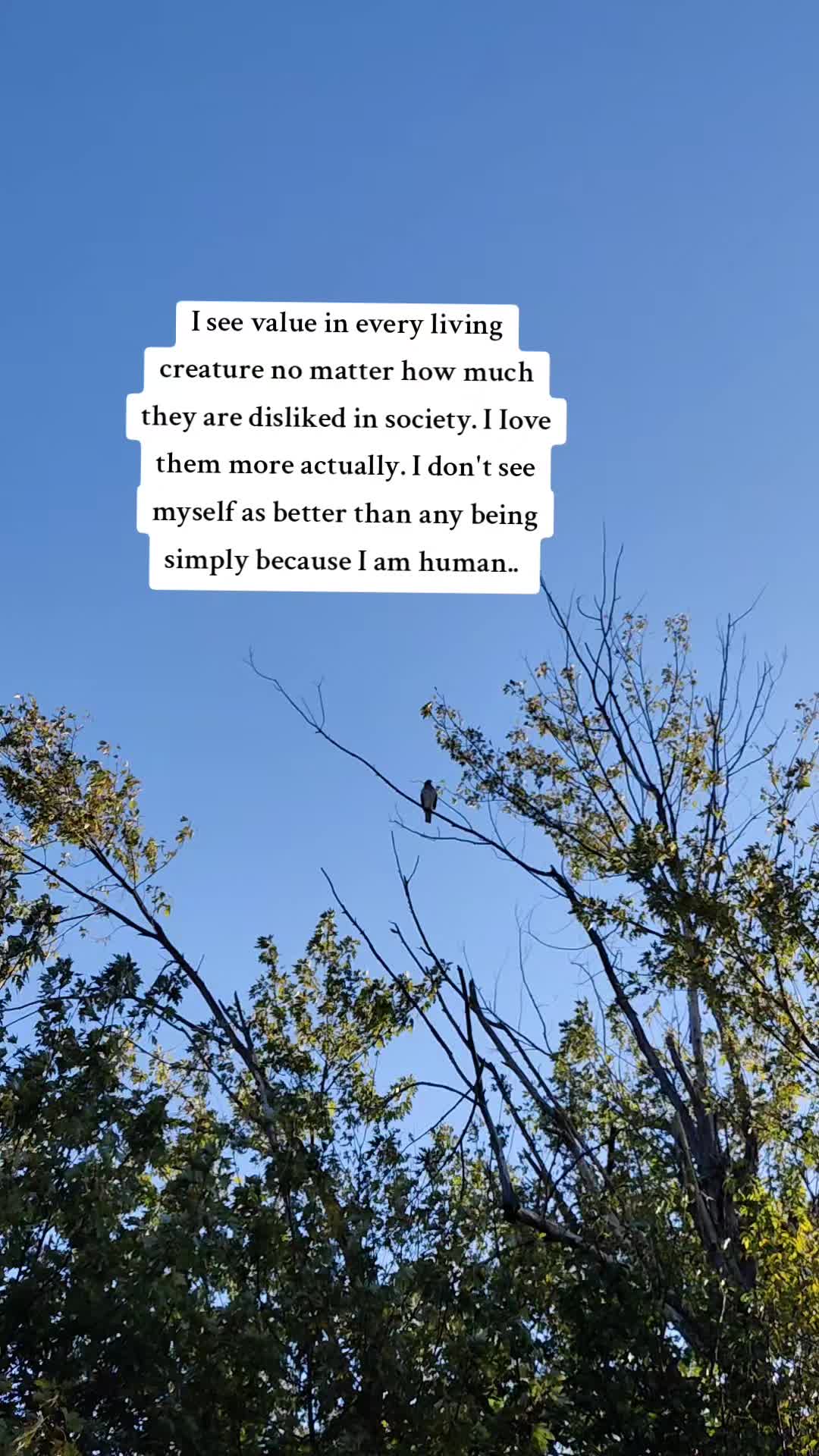 @sanriobishh
