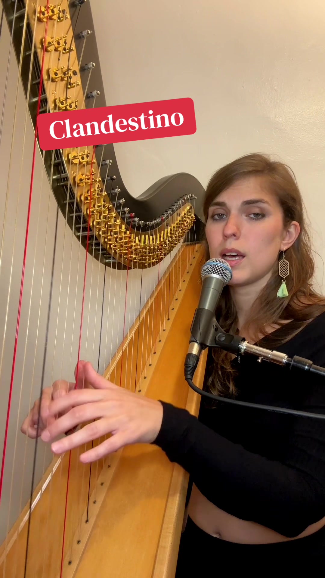 @Pia Salvia 🩵 Pia Harpist