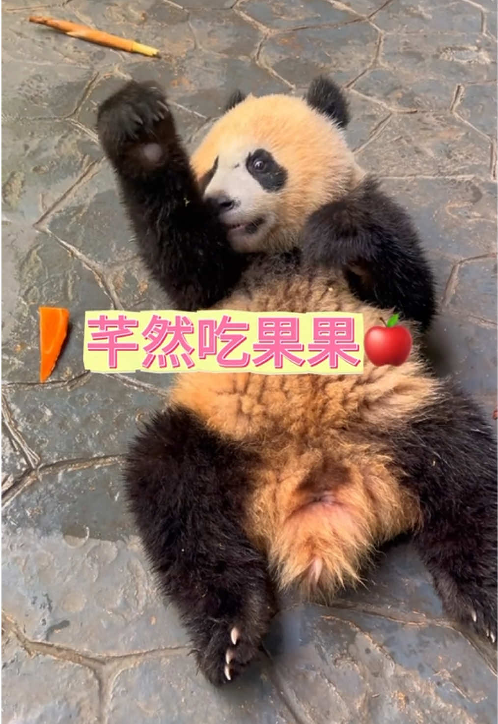 @熊猫妹珠🐼