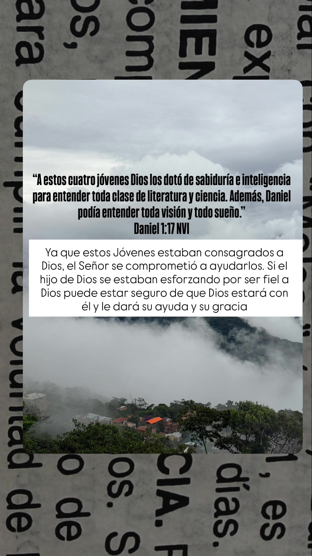 @Luis Fernando Claure
