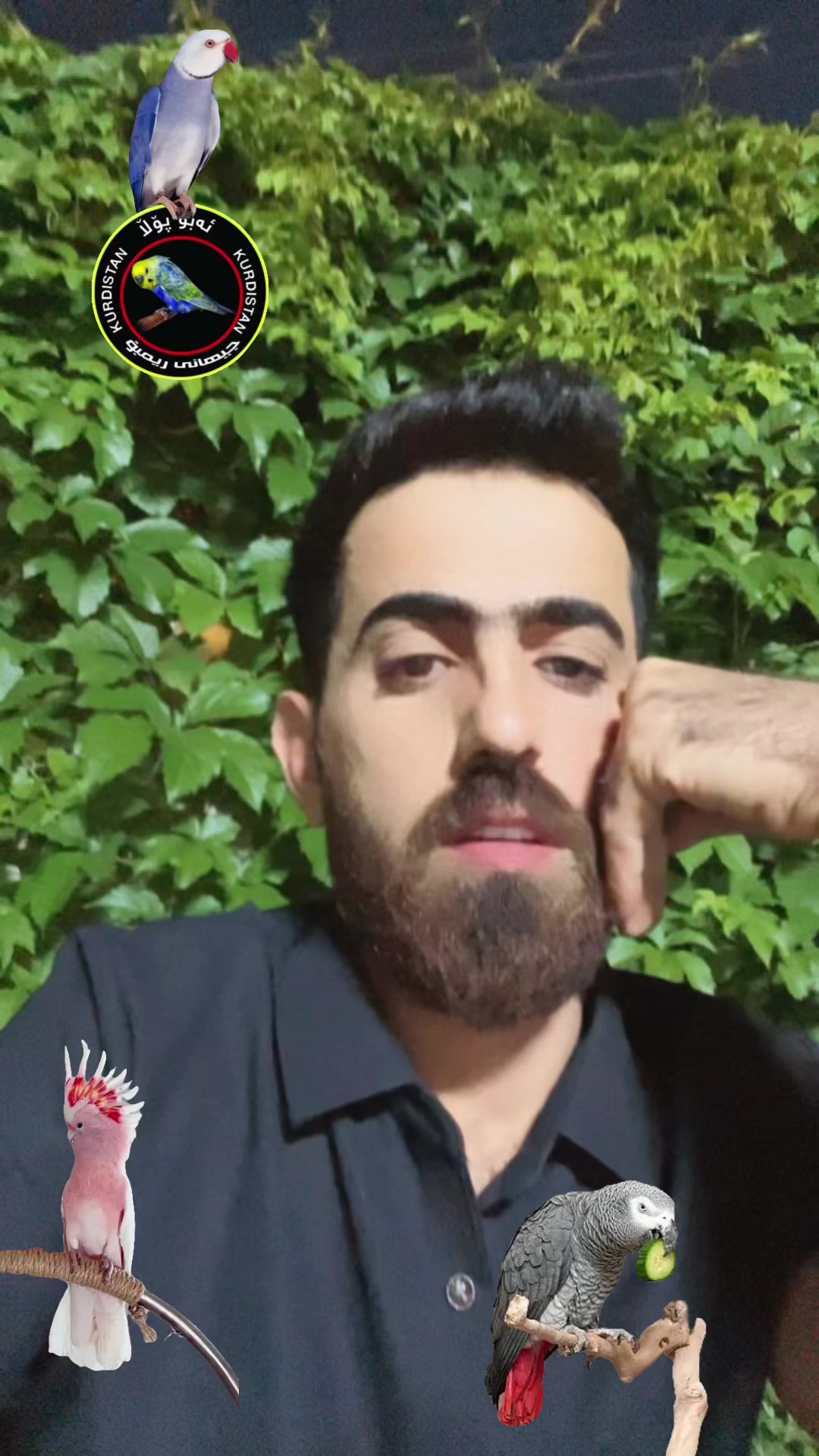 @أبو پؤلا
