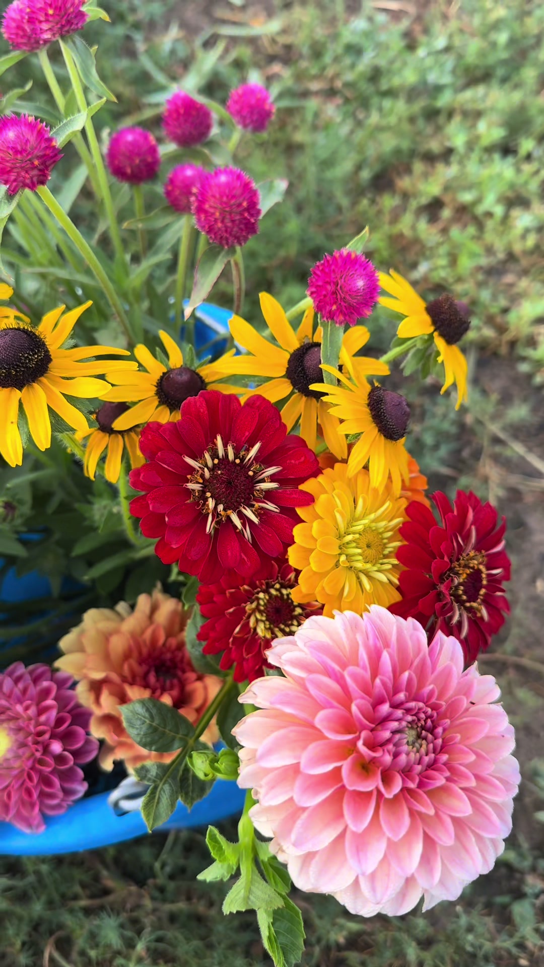 @Sandy Acres Farm