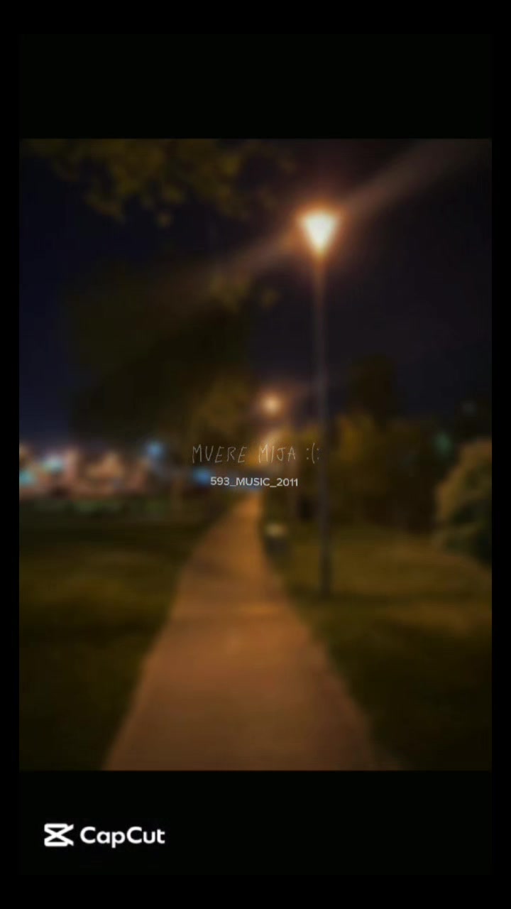@593_MUSIC_2011