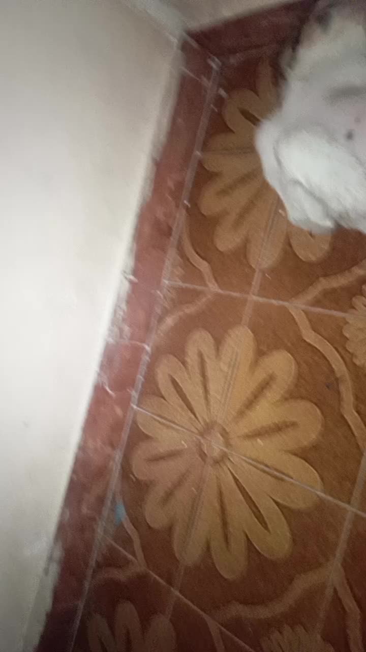 @Keberoma8