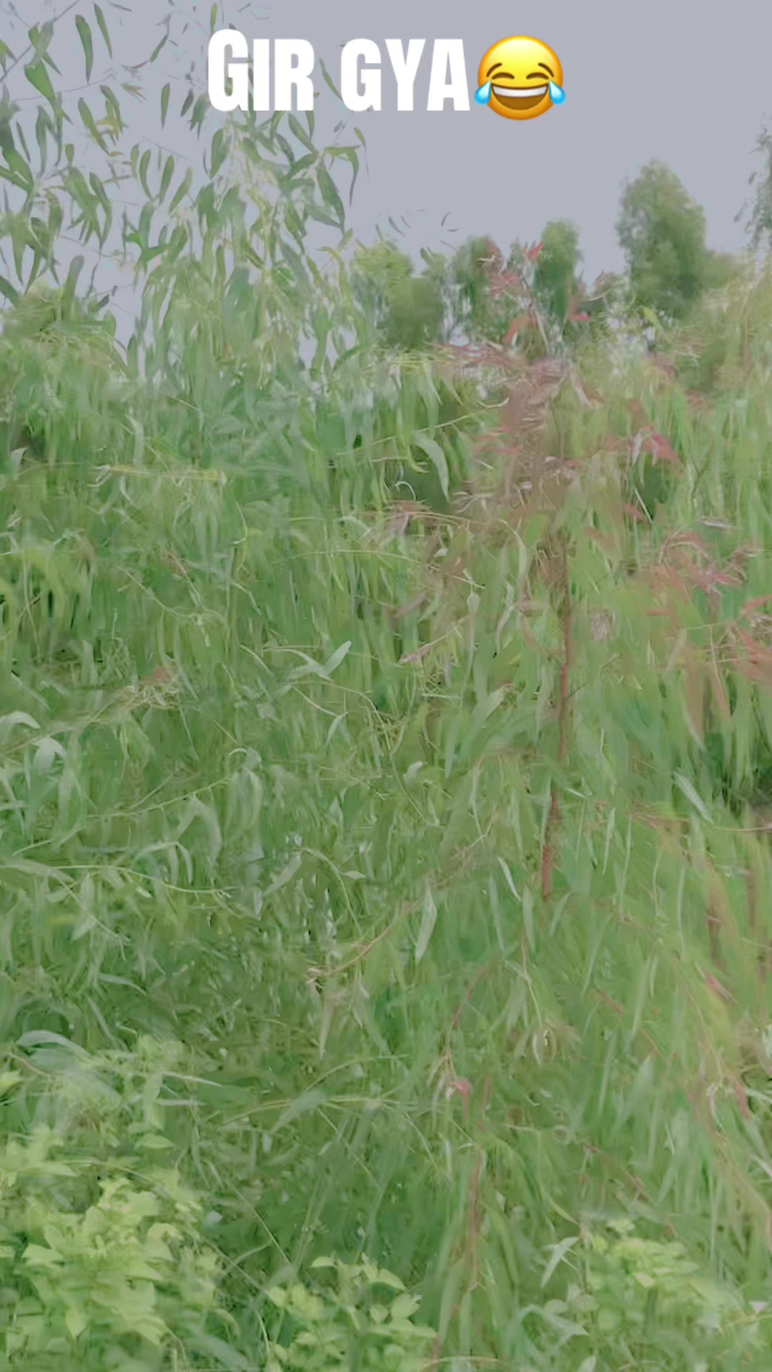 @𝐀𝐌𓄀