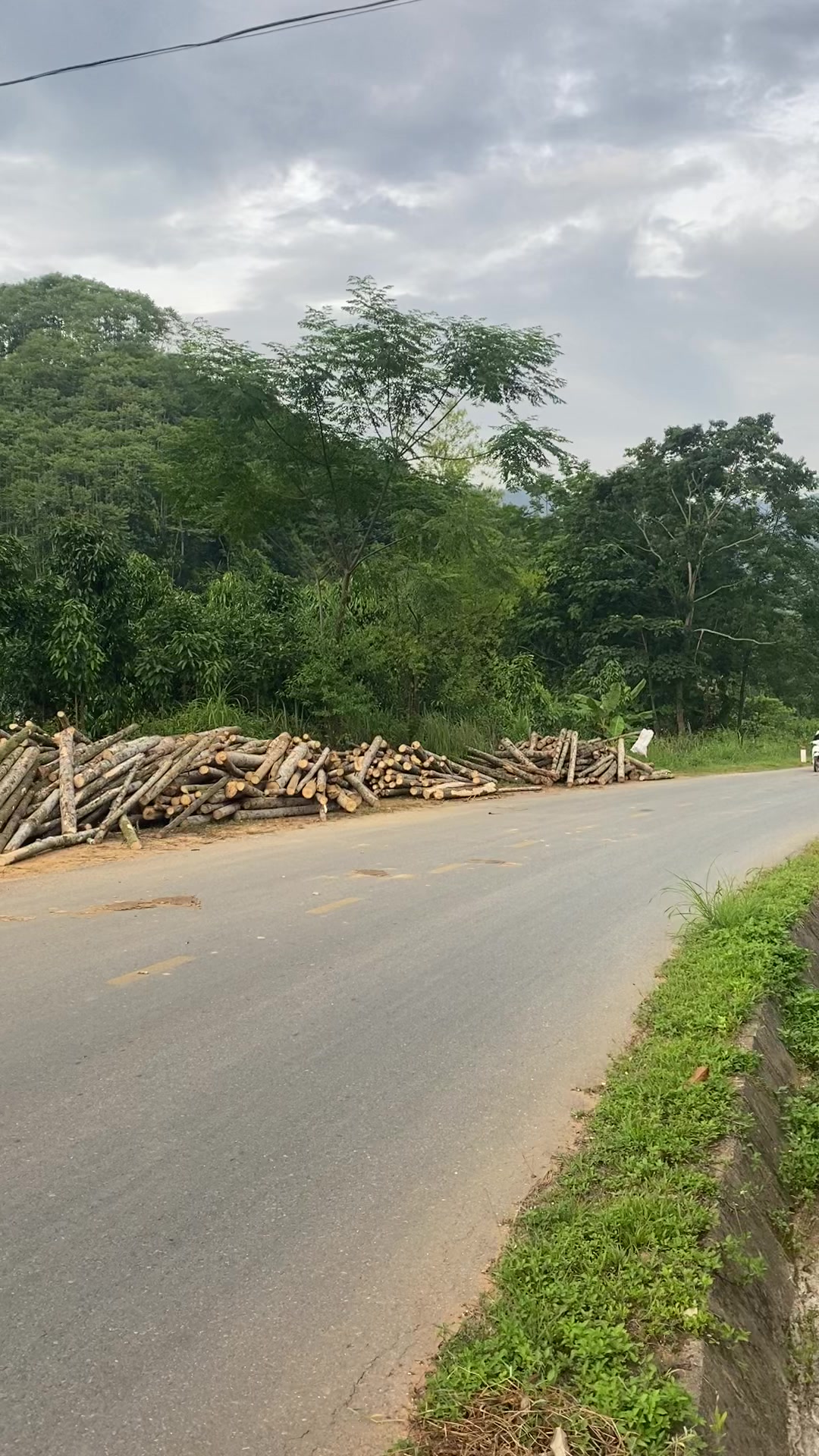 @N&ocirc;ng đức long