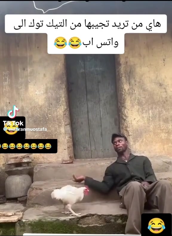 @samalsalim4