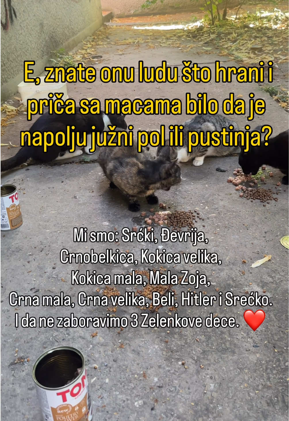 @cosanostrapurr