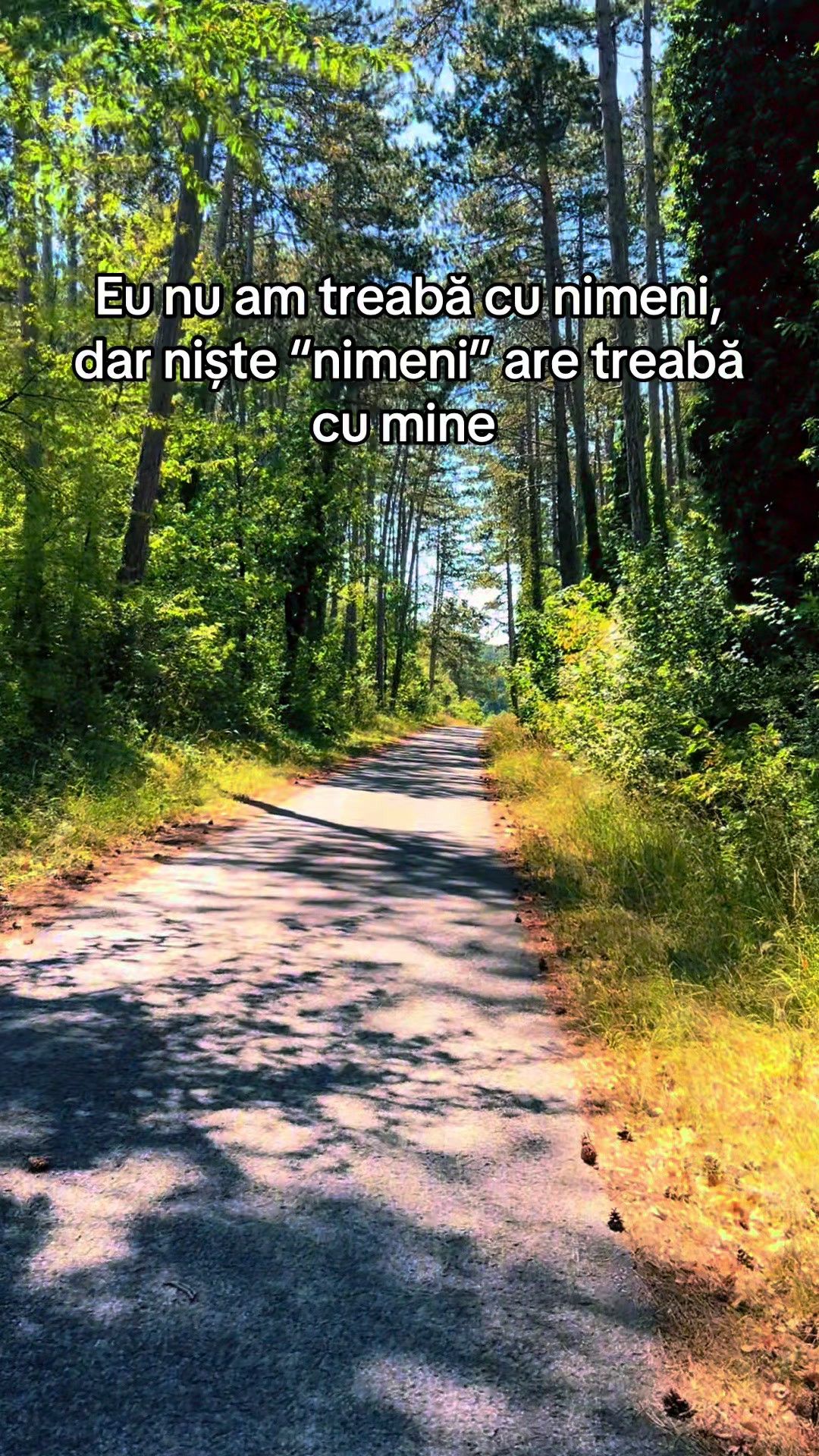 @Ana D Ionela